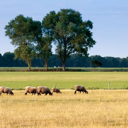 Natures-rest Vakantiehuis Wielen