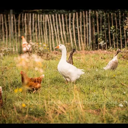 Ferienhaus Natures-rest