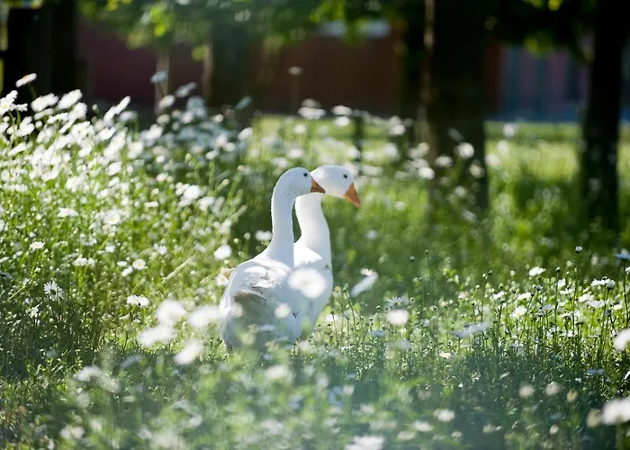 Natures-rest * Wielen