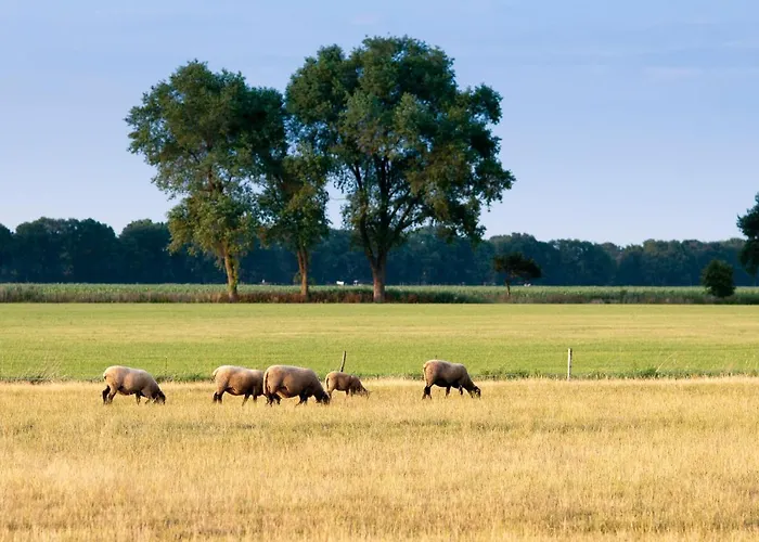 Natures-rest Dom wakacyjny Wielen