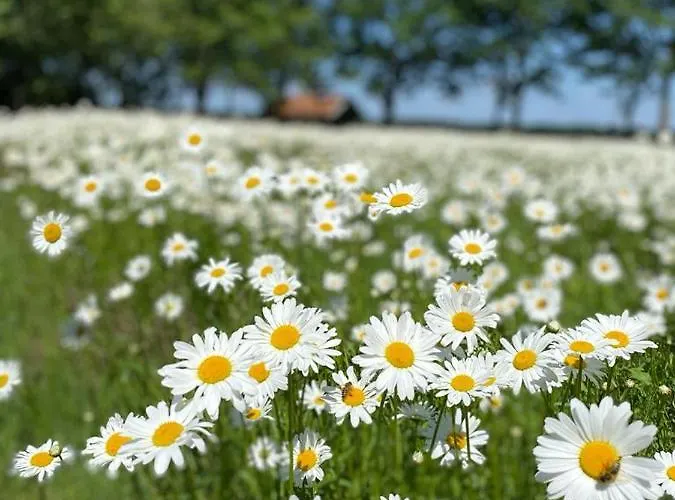 Natures-rest Dom wakacyjny Wielen