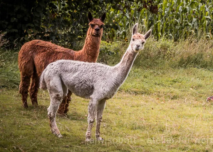 Natures-rest Dom wakacyjny Wielen